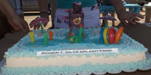 The cake depicting the Splash Park.