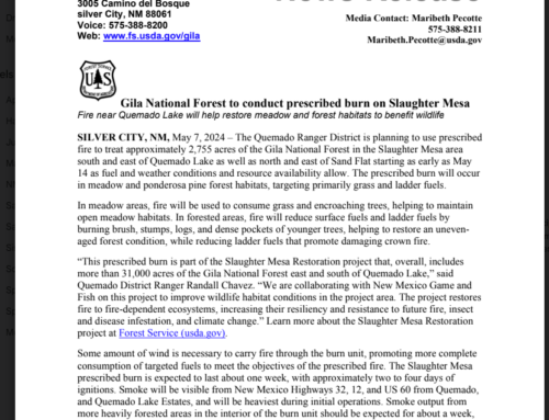 Gila National Forest to conduct prescribed burn on Slaughter Mesa