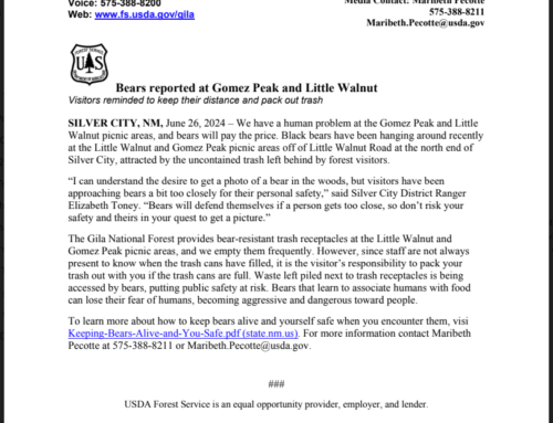 Bears reported at Gomez Peak and Little Walnut