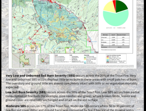 Trout Fire Soil Burn Severity