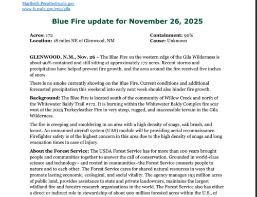 Blue Fire Update