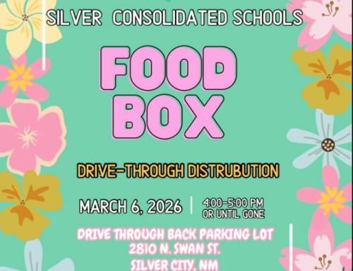 Silver Schools Food Box Distribution