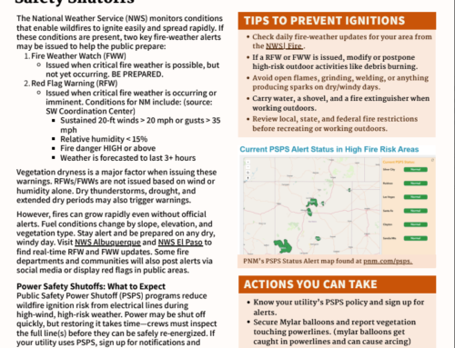 The Spark: Wildfire Preparedness is Year Round