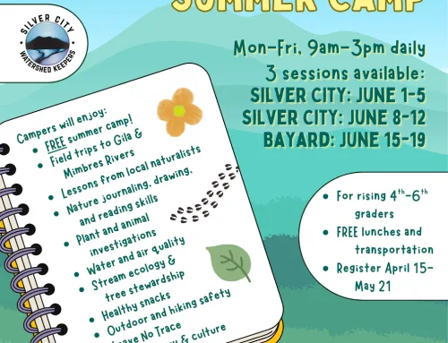Nature Discovery Summer Camp