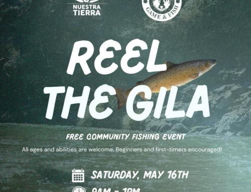 Reel The Gila: Free Fishing Event