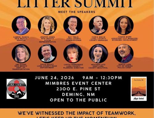 Que Linda Litter Summit