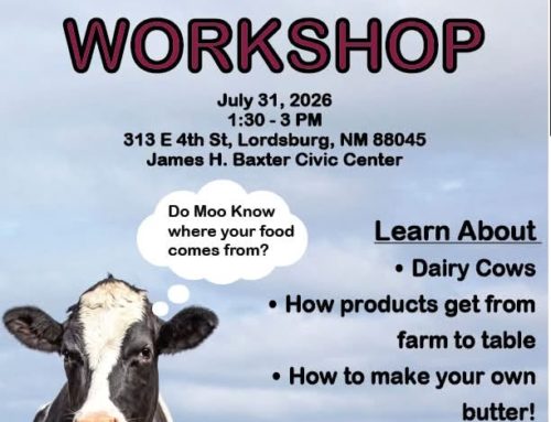 Dairy Workshop