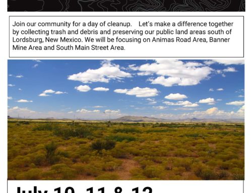Lordsburg Public Lands Cleanup